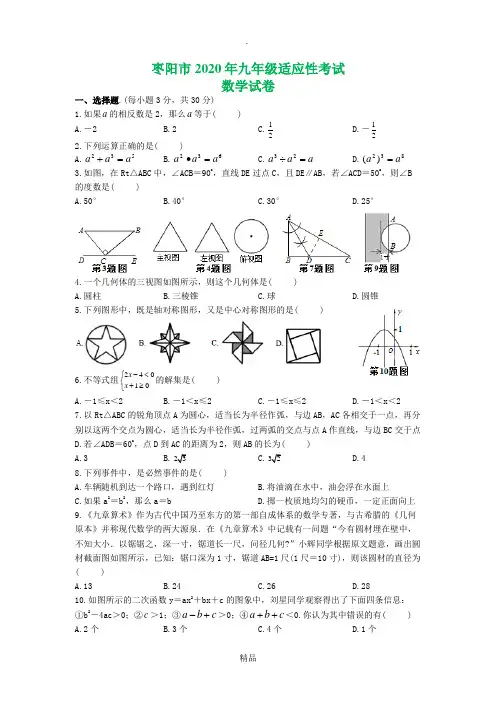 襄阳市枣阳市2020年中考适应性考试数学试题(word版附答案)