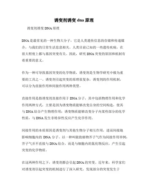 诱变剂诱变dna原理