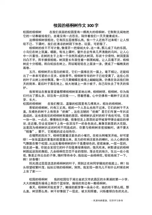 校园的梧桐树作文300字_作文300字