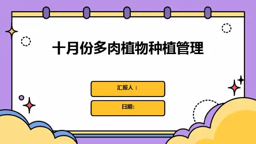 十月份多肉植物种植管理