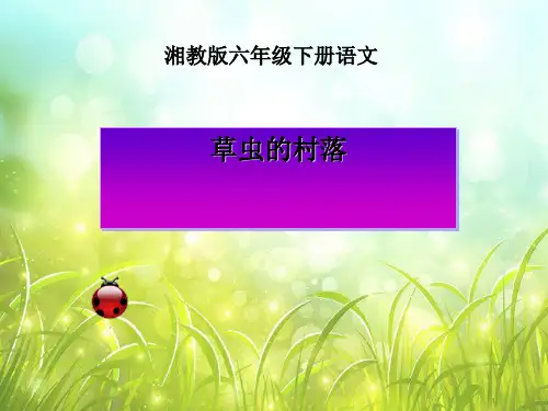 《草虫的村落》PPT课件(上课用)下载10