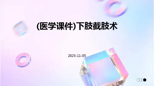 (医学课件)下肢截肢术