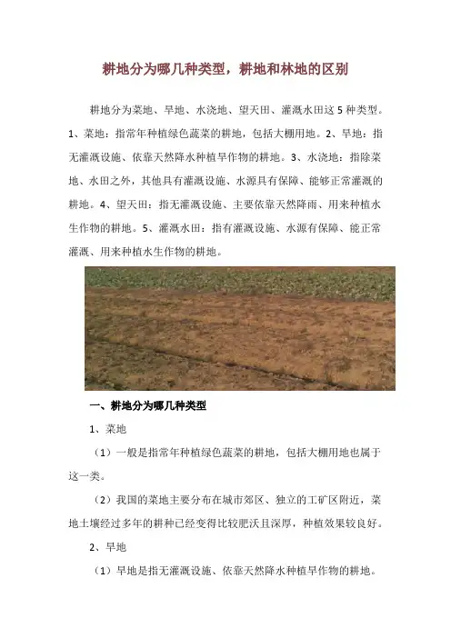 耕地分为哪几种类型,耕地和林地的区别