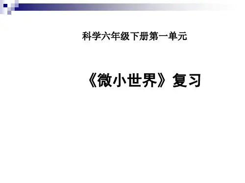 《微小世界》复习