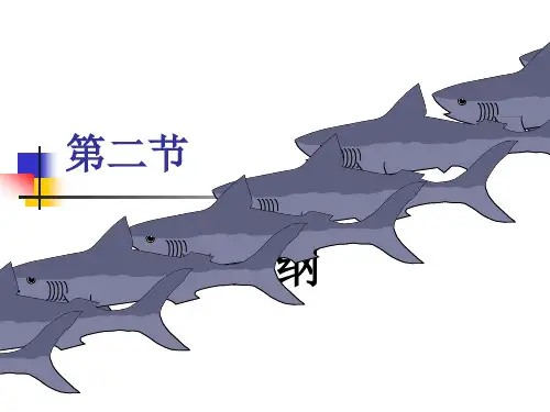 鱼纲