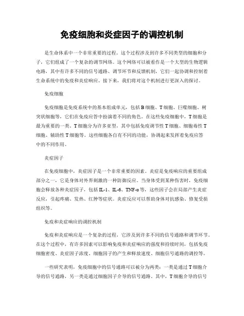 免疫细胞和炎症因子的调控机制