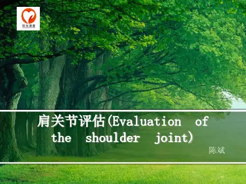 肩关节评估