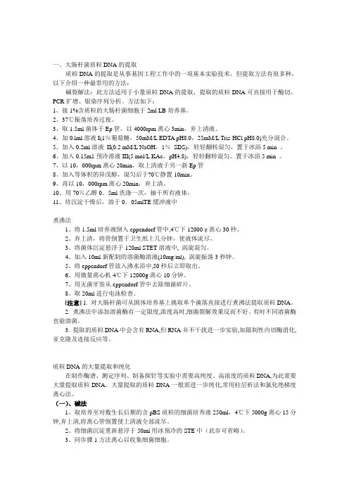 大肠杆菌质粒DNA的提取