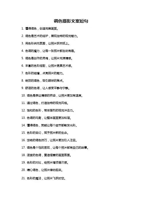 调色摄影文案短句