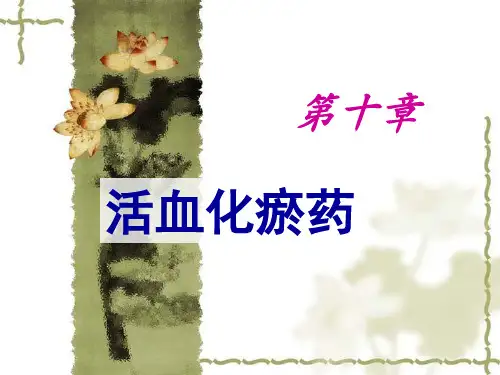 19活血化瘀药