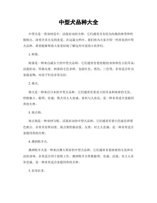 中型犬品种大全