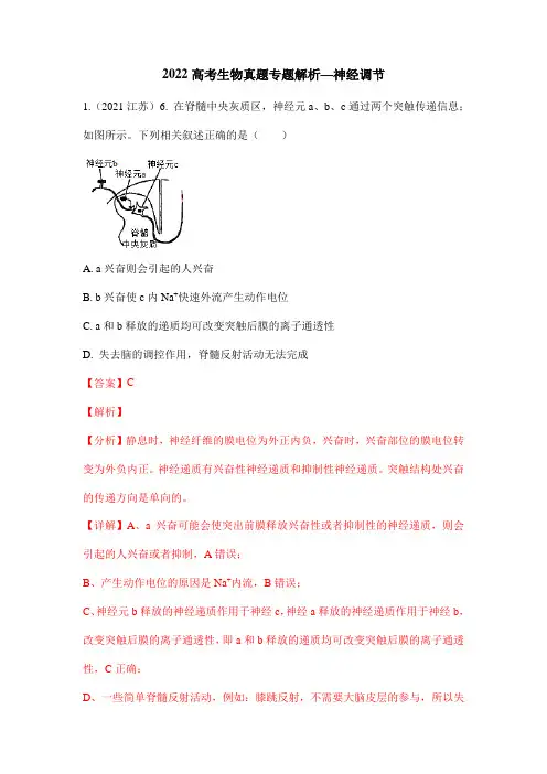 2022高考生物真题专题解析—神经调节(含答案解析)