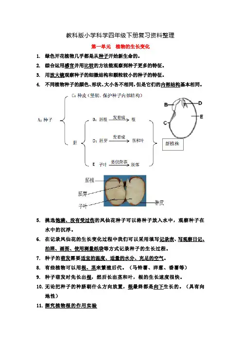 新教科版四年级科学下册知识点汇总