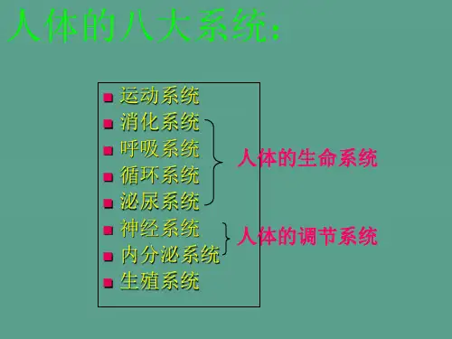 人体的八大系统ppt课件