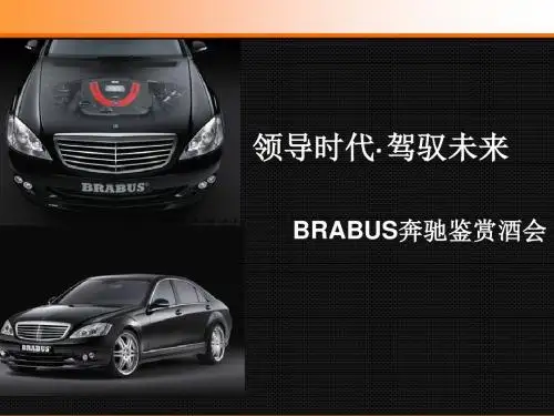 奔驰汽车策划方案模板范本【精品策划方案商业书】
