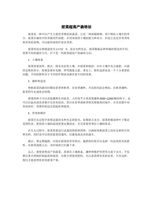 甜菜超高产栽培法