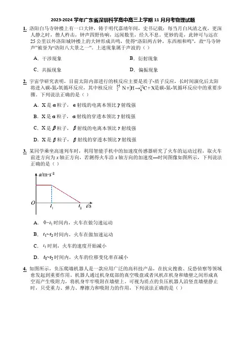 2023-2024学年广东省深圳科学高中高三上学期11月月考物理试题