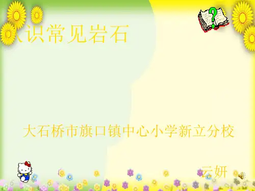 (苏教版)小学科学五下《认识常见的岩石》PPT课件(同课异构) (1)