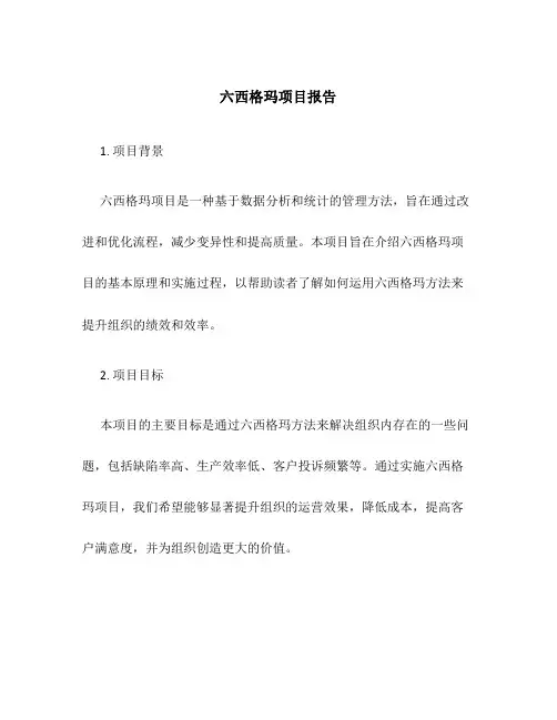 六西格玛项目报告