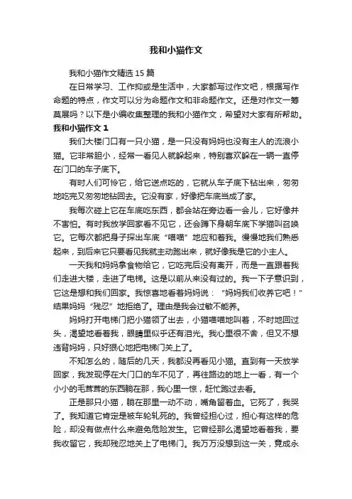 我和小猫作文精选15篇