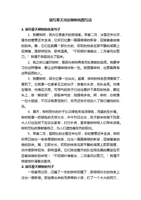 描写春天河边柳树看图写话