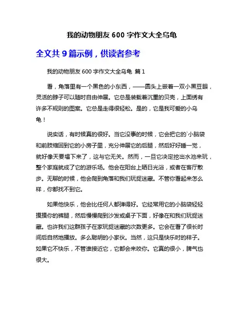 我的动物朋友600字作文大全乌龟