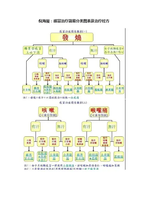 倪海厦：感冒治疗简易分类图表及治疗经方