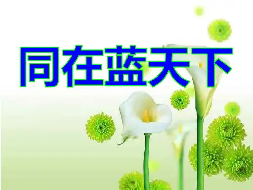 同在蓝天下-ppt优秀课件