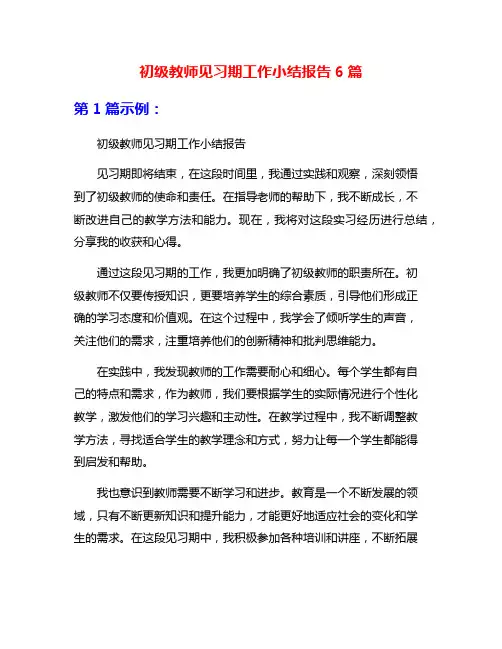 初级教师见习期工作小结报告6篇