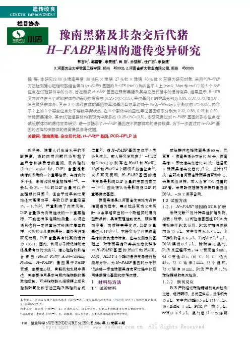 豫南黑猪及其杂交后代猪H-FABP基因的遗传变异研究