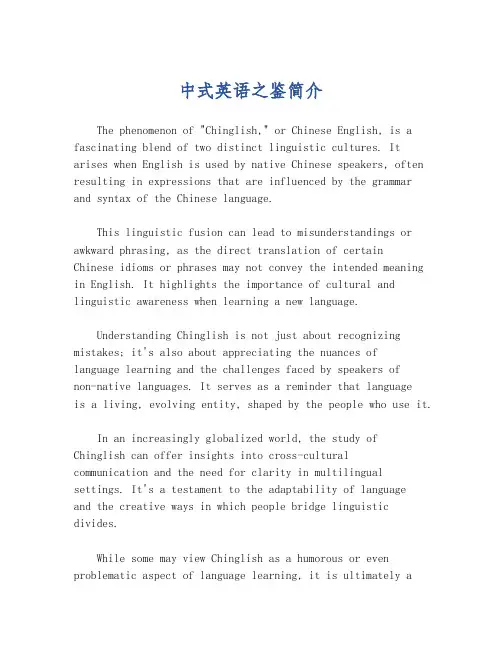 中式英语之鉴简介