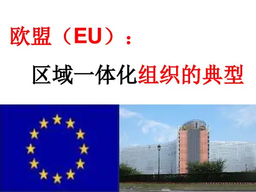 高中政治人教版选修三专题5.5欧盟：区域一体化组织的典型课件(共24张PPT)