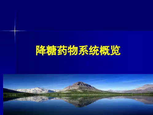 降糖药物系统概览