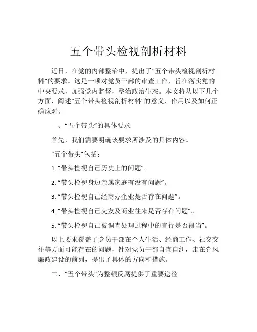 五个带头检视剖析材料