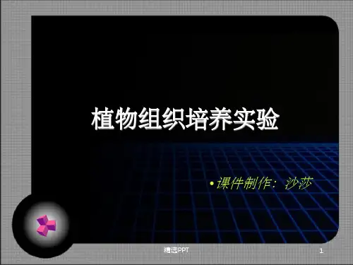 《植物组织培养实验》PPT课件