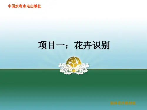 任务二 花卉识别1