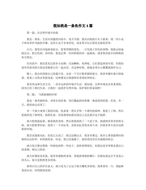 假如我是一条鱼作文4篇
