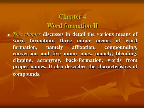 英语词汇学 chapter 4