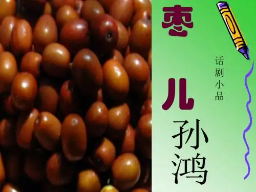 《枣儿》优质课