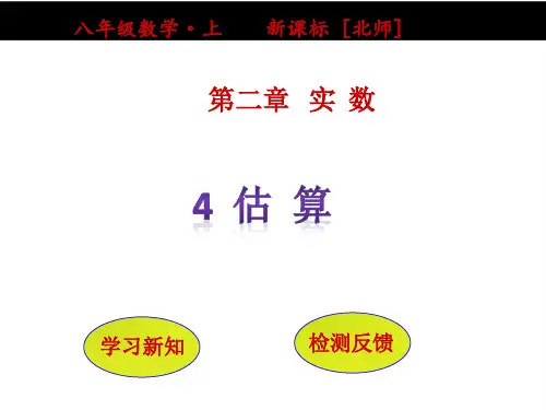 2.4《估算》ppt课件