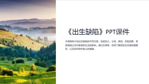 《出生缺陷》课件
