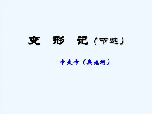 十一变形记(节选)