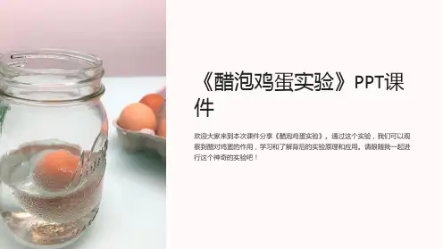 《醋泡鸡蛋实验》课件