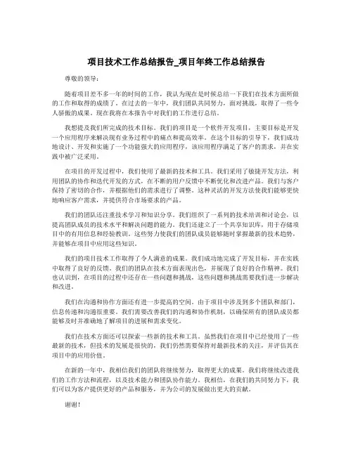 项目技术工作总结报告_项目年终工作总结报告