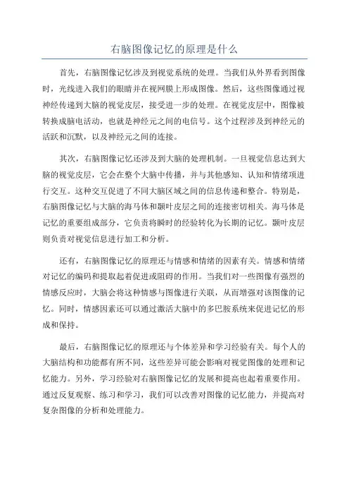 右脑图像记忆的原理是什么