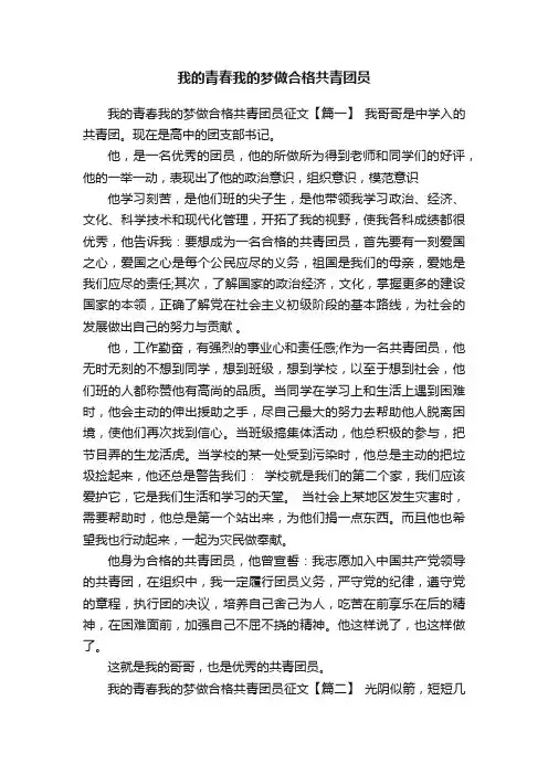 我的青春我的梦做合格共青团员