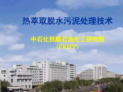 热萃取脱水污泥处理技术ppt课件