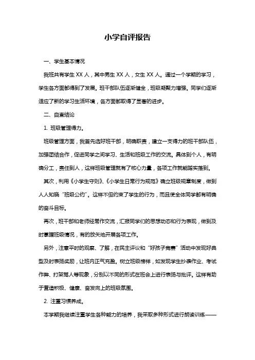 2024年小学自评报告