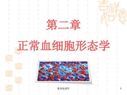 血液学检验 2 正常血细胞形态学ppt课件