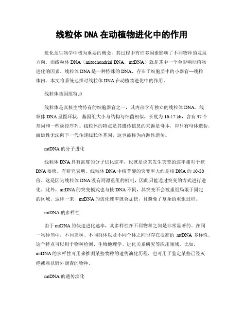 线粒体DNA在动植物进化中的作用